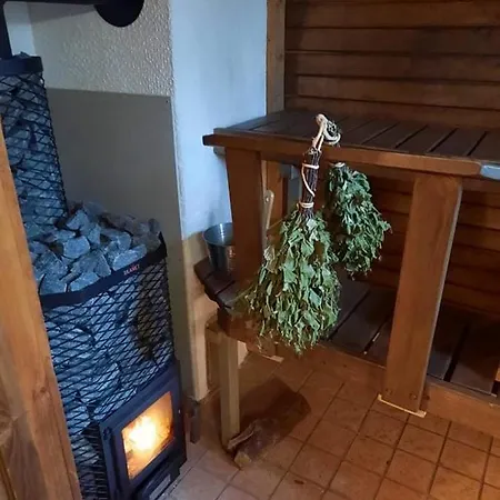 Meelste Puhkemajad Tahkunas- Sõnn Ja Lõvi
